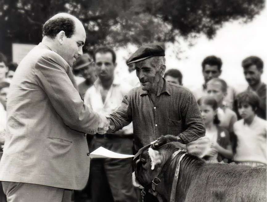 Φωτογραφία αρχείου